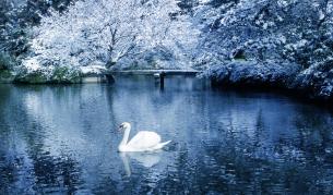 Студ и сняг във вторник, температури до -4°