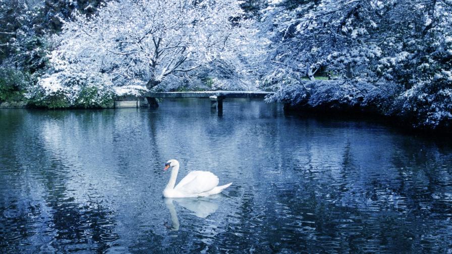 Кога идва истинската зима - ранна прогноза за декември