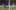 Кашима Антлърс - Реал Мадрид, 1/2 финал на Световното клубно първенство в Абу Даби