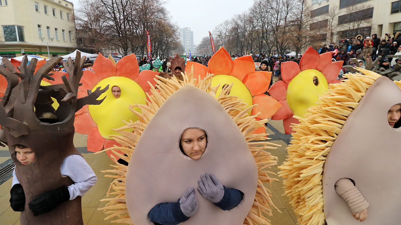 Сурва в Перник 2019