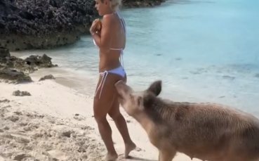 Прасе ухапа популярен фитнес модел на Бахамите