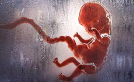  <p>Феминистите и демократите в Съединени американски щати в потрес, Алабама ще забрани абортите</p> 