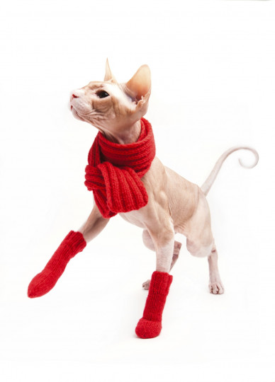 Сладки, коледни животни - снимка 24