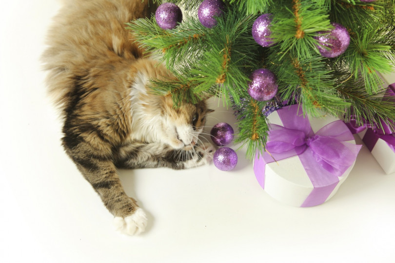 Сладки, коледни животни - снимка 4