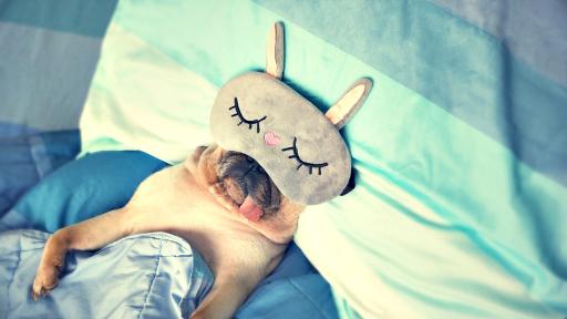  Кои пози по време на сън са най-полезни 