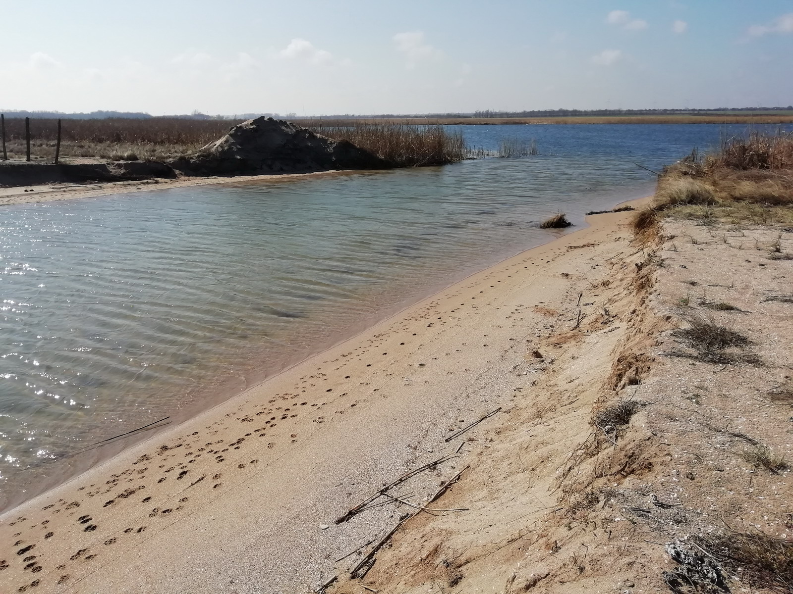 Министърът на околната среда и водите Нено Димов направи проверка на защитената местност