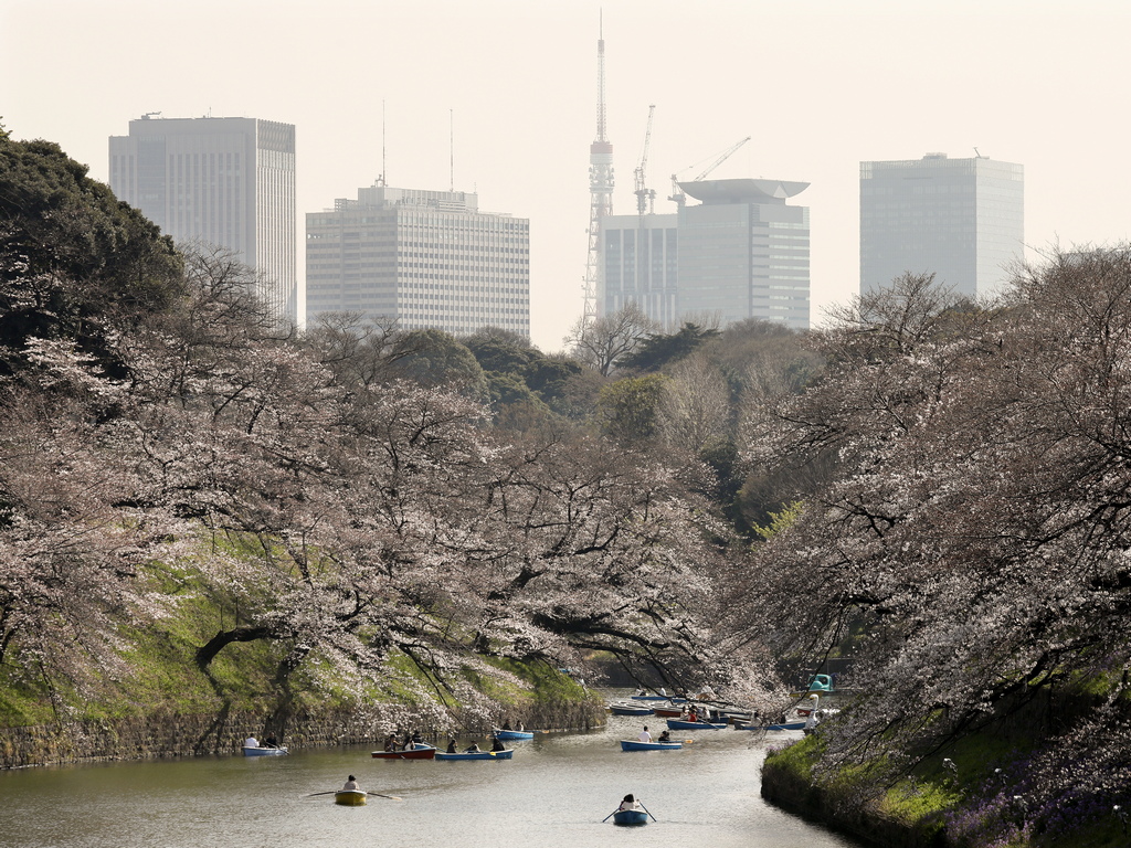 Река Канда, обградена от цъфнали вишневи дървета в Токио, Япония. Температурите в централния район на японската столица нараснаха с 15 градуса по Целзий, което е обичайно за годината. Очаква се вишневите цветове да бъдат в пълен разцвет в центъра на Токио в края на този месец