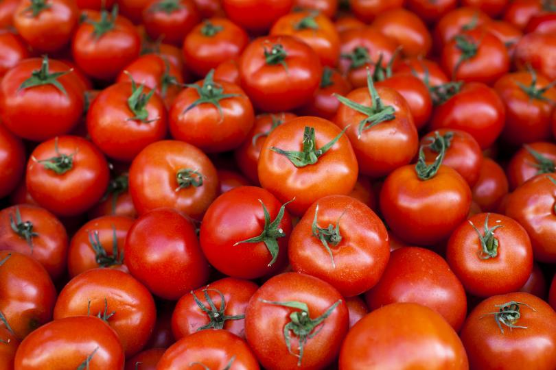 <p>Когато доматите са узрели, те могат да се държат в хладилника до 4 дни без проблем - след това ще имате загуба на вкусови качества, по-мека текстура и появата на тъмни оцветявания по домата.</p>
