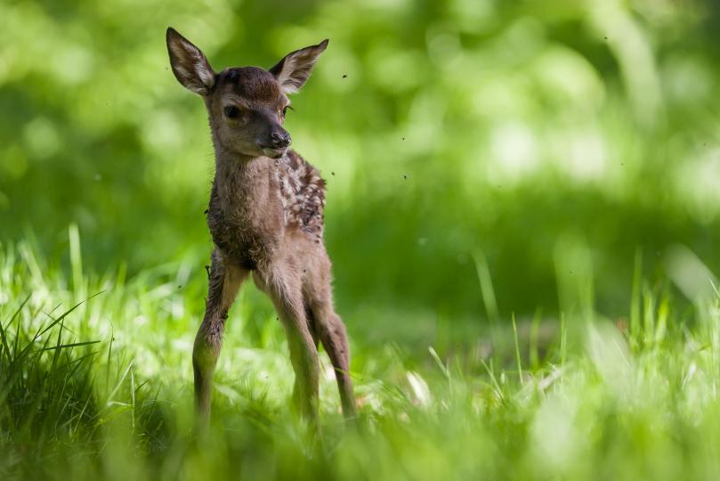 Дневен хороскоп, 2 април, вторник - снимка 5