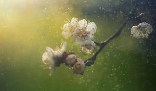 Пролетни температури, но с валежи: Какво ни очаква във вторник