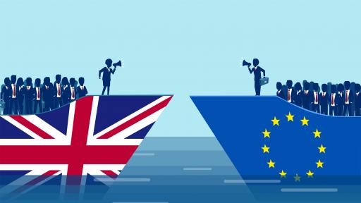  Брекзит: завършек на специфичния статут на жителите на Европейски Съюз 