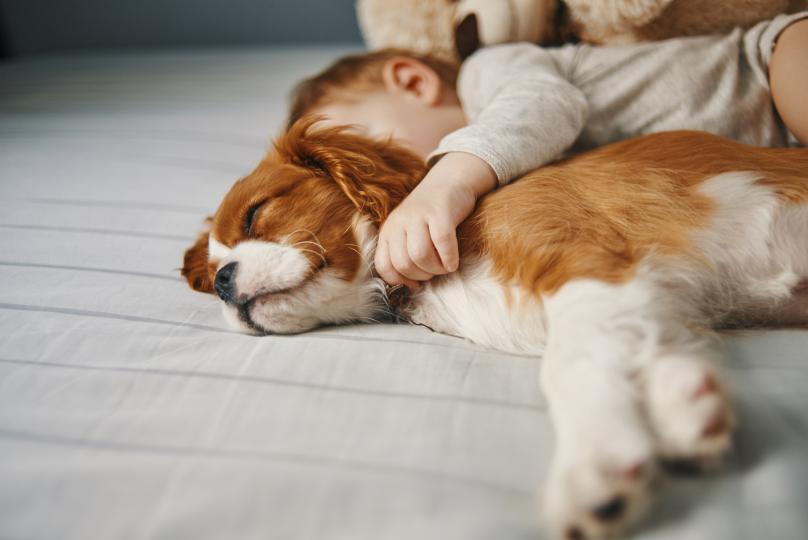 Дневен хороскоп, 10 април, сряда - снимка 6