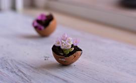  <p><strong>Страхотни</strong> <strong>идеи</strong> за великденска <strong>украса</strong> с <strong>черупки от яйца</strong></p> 