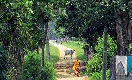  Снимката е илюстративна 