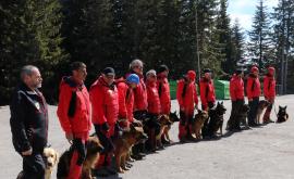  <p><strong>Героите</strong> в планината и освен - <strong>спасителните кучета</strong></p> 