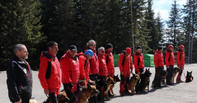 България Героите в планината и не само спасителните кучета