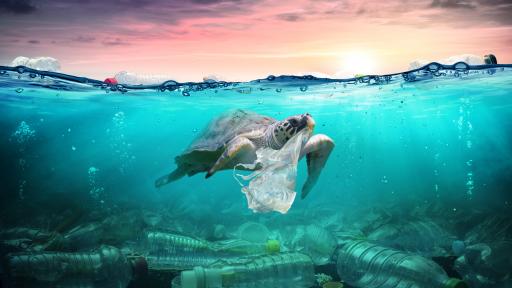  <p><strong>Това ли е спасението</strong>: бактерия,която яде пластмаса</p> 