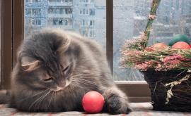  <p><strong>Времето на Великден</strong> &ndash; облачно и дъждовно</p> 