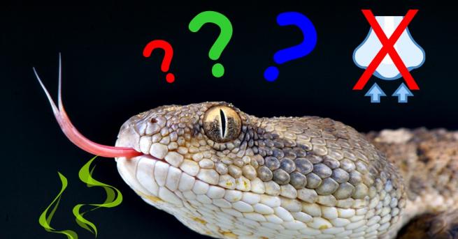 Любопитно Можем ли да подушим храните с езика си Учени