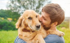  Пролетно „ разчистване “ на домашните любимци 