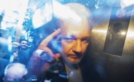  Подновяват следствието за обезчестяване против Асандж 