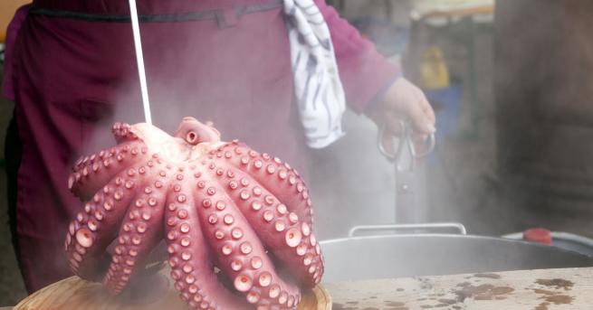 Любопитно Влогърка опита да изяде жив октопод Като всяко живо