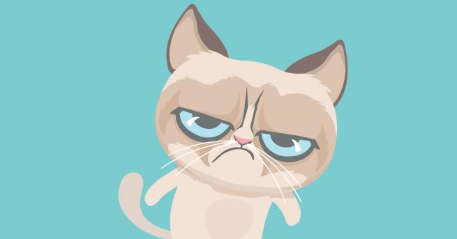 Любопитно Почина едно от най-известните котета в света - Grumpy