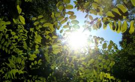  Очаква ни безоблачен уикенд, вижте къде ще превали 