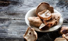  Защо гъбите шийтаке са потребни 