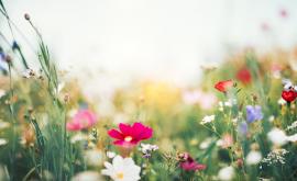  <p>Лятото идва за малко, по кое време ще има <strong>бури и градушки</strong></p> 