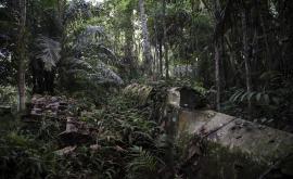  Папуа Нова Гвинея 