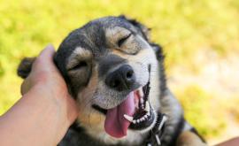  <p><strong>5</strong> неща, които единствено <strong>оптимистите притежават</strong></p> 