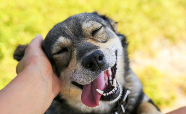  5 неща, които единствено оптимистите имат 