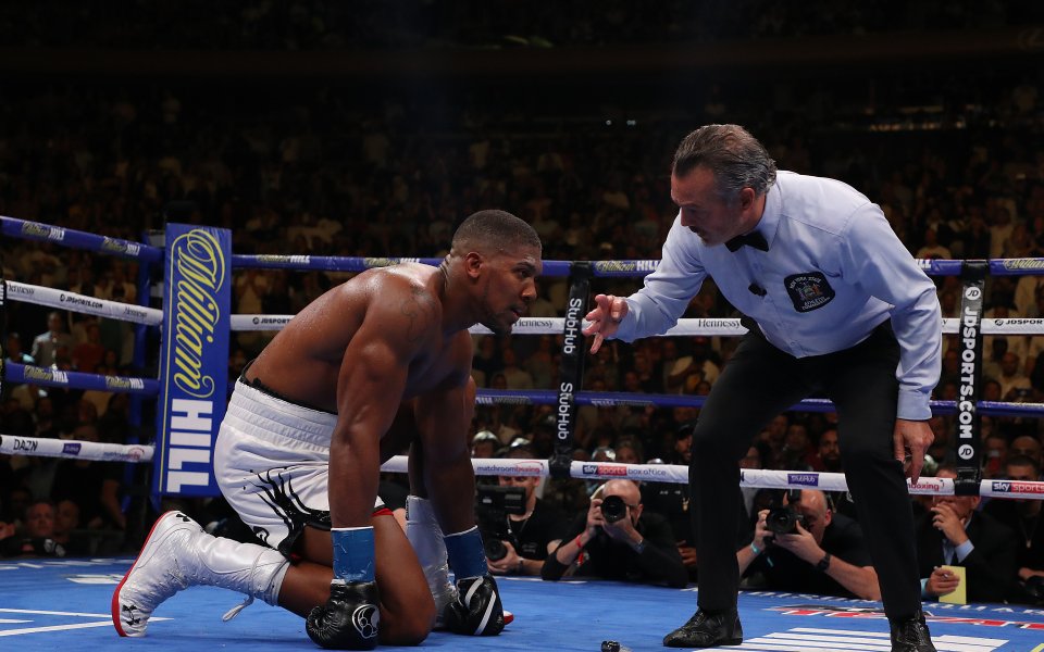 Само до преди няколко месеца никой не се съмняваше в