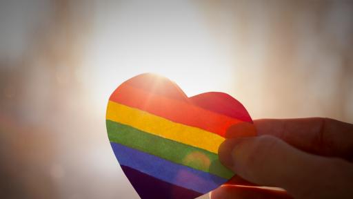  <p>По света и у нас: къде са позволени гей браковете</p> 