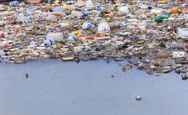  <p><strong>Да плуваш в токсични води</strong> с кауза</p> 