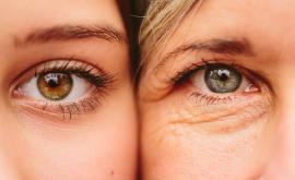  <p>Учени: Тези плодове <strong>забавят стареенето</strong></p> 