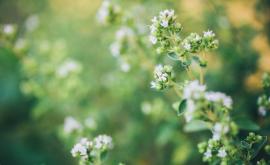  <p>Днес означаваме <strong>два празника, </strong>именици са...</p> 