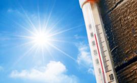  Горещини, заплаха от пожари в идващите дни 