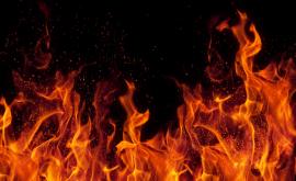  <p>Пожар край димитровградско село, застрашени къщи&nbsp;</p> 