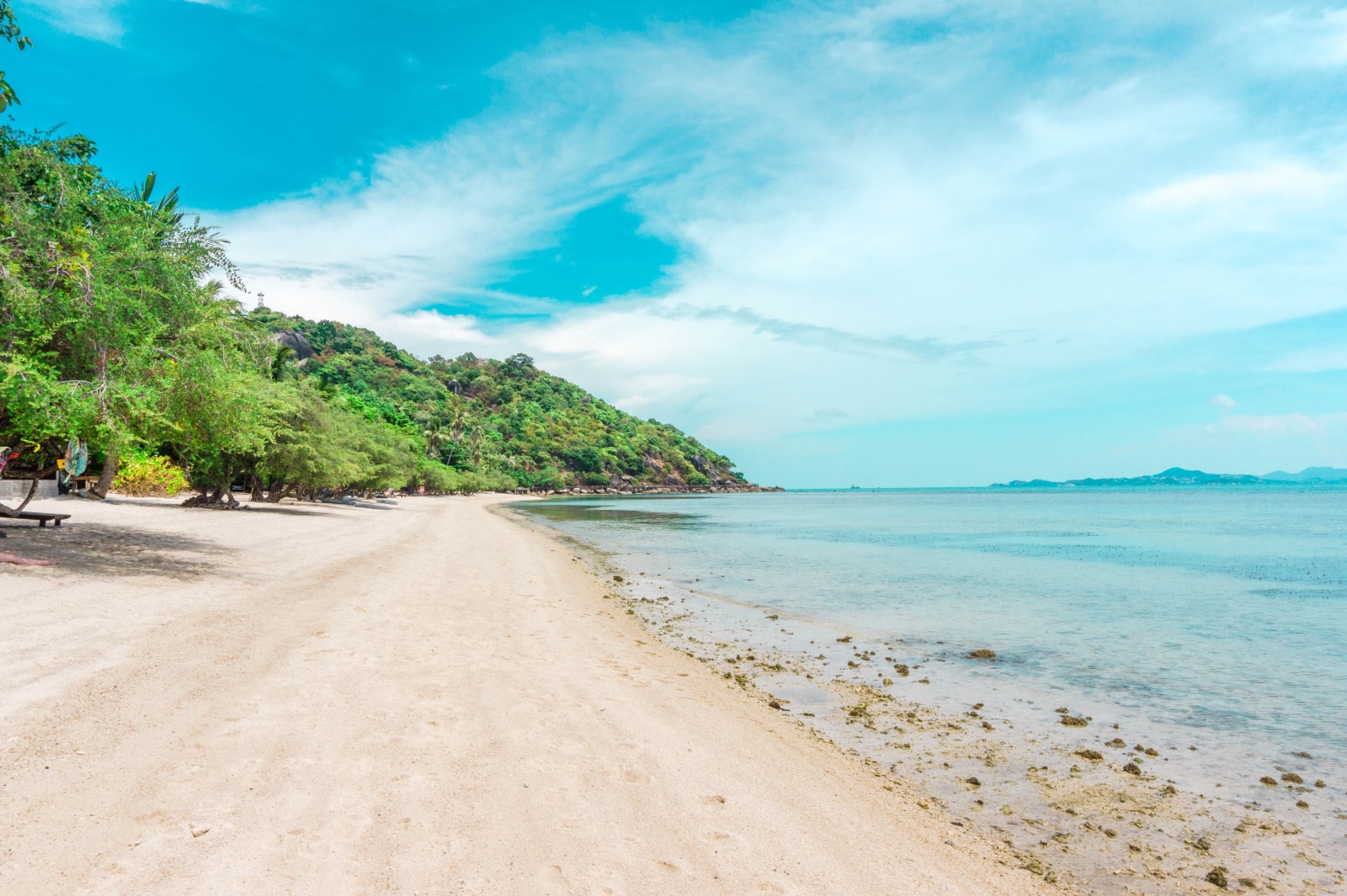<p>В галерията вижте снимки на блогърката и пътешественик Габриела Манова от Travel with Gabi от островите Ко Тао, Ко Панган и Ко Самуй и техните прекрасни плажове.</p>