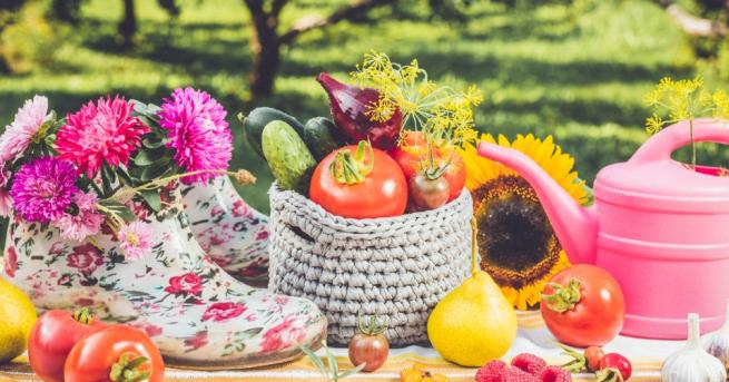 Специалисти от московската Държавна инспекция за качеството на селскостопанските продукти