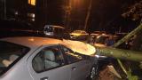  <br> Караянчева: Ураганът в Кърджали смачка колата на татко ми <br> 