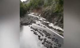  Свлачище блокира туристи в Източните Родопи 