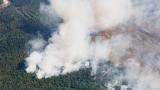  <p>Чудовищен пожар унищожава най-голямата гора на Земята</p> 