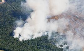  Целта на големия пожар в Сибир - да скрие нещо 
