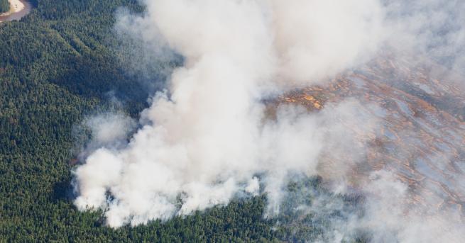 Свят Чудовищен пожар унищожава най-голямата гора на Земята Димът от