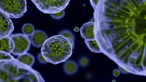  Откриха нов тайнствен вирус, формиран от непознати гени 