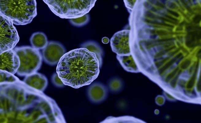 Откриха нов мистериозен вирус, съставен от непознати гени