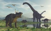 Учени откриха нов тип динозаври 